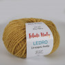 LEDRO